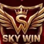 Sky Win Game